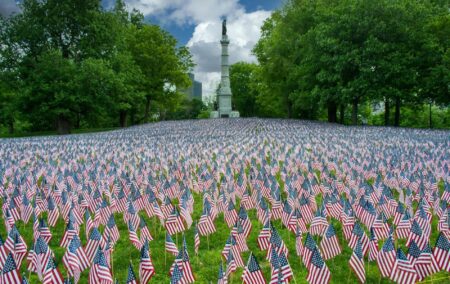 a sea of miniature American flags on a green grassy lawn of a park with blue sky and a distant statue in the background