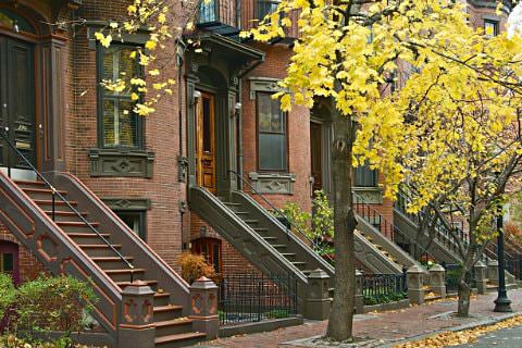 Trees with autumn yellow leaves in front of row of red brick brownstones