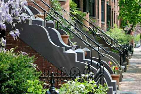 A row of decorative steps and railings leading up to brownstones with lots of green plants