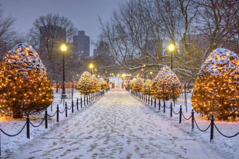 Wide snowy walkway lined with trees covered in twinkling lights, warmly lit light posts and city buildings in the background